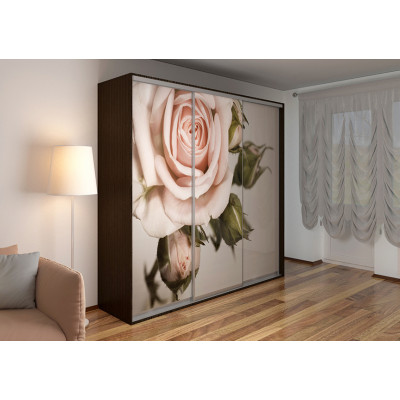 Шафи-купе Люкс