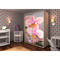 Шафи-купе Стандарт